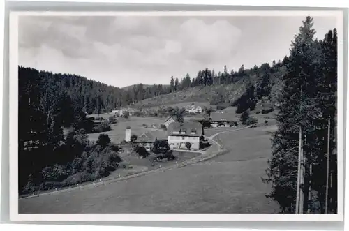 Erbersbronn Gasthaus zum gruenen Wald *