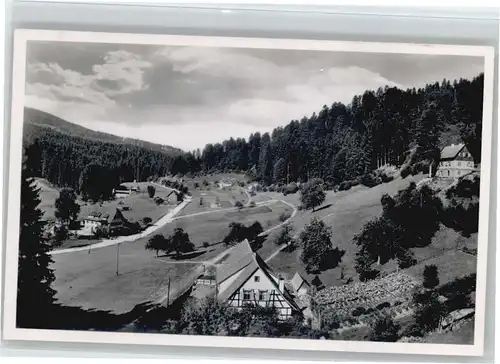 Erbersbronn Gasthaus zum gruenen Wald *