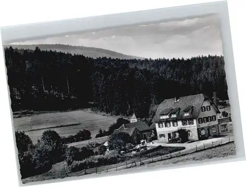 Erbersbronn Gasthaus zum gruenen Wald *