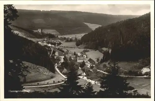 Hammereisenbach-Bregenbach Hammereisenbach Gasthaus zum Fischer * / Voehrenbach /Schwarzwald-Baar-Kreis LKR