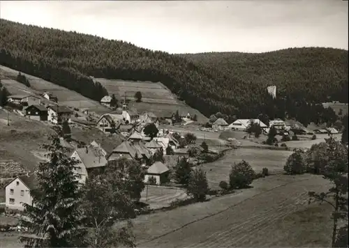 Hammereisenbach-Bregenbach Hammereisenbach  * / Voehrenbach /Schwarzwald-Baar-Kreis LKR