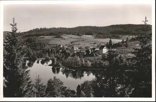 Wittenschwand Klostersee *