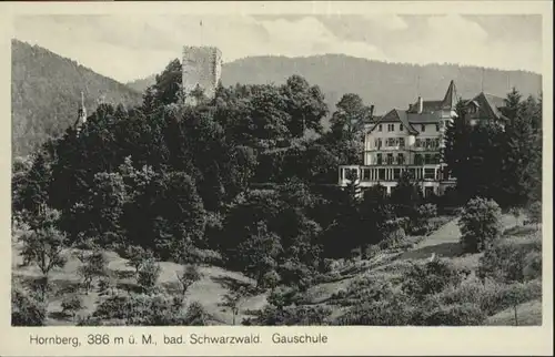 Hornberg Schwarzwald Ortenaukreis Gau Schule *