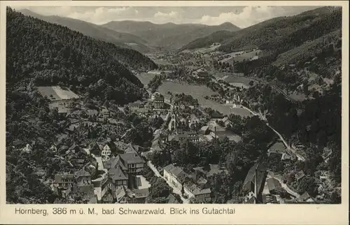 Hornberg Schwarzwald Ortenaukreis Gutachtal *