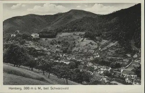 Hornberg Schwarzwald Ortenaukreis  *