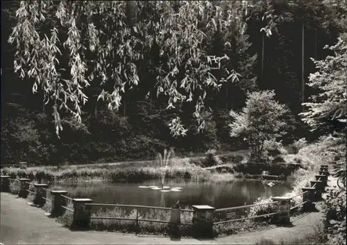 Hornberg Schwarzwald Ortenaukreis Schlossweiher *