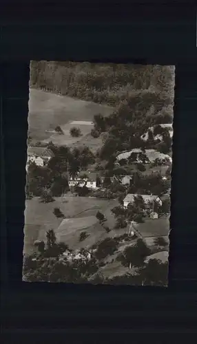 Sehringen Gasthaus zum gruenen Baum *