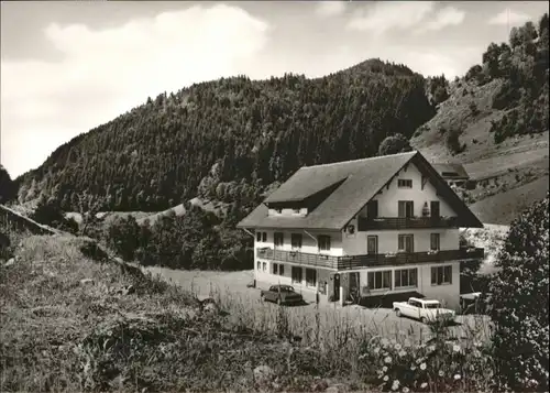 Wildgutach Gasthaus Pension Loewen *