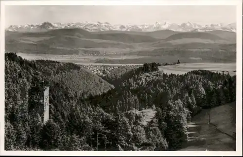 Wieladingen Ruine Schweizer Alpen *