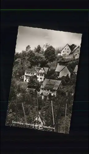 Schlossberg Schnaittach Osternohe Lauf Pegnitz Gasthaus Igel Schlossruine *