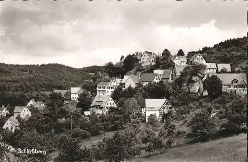 Schlossberg Schnaittach Osternohe Lauf Pegnitz *