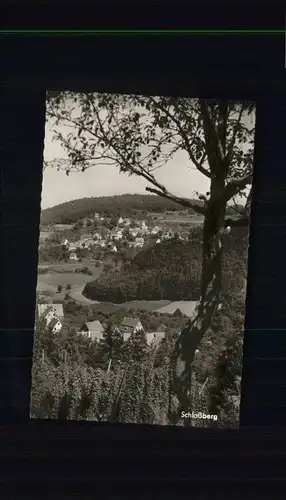 Schlossberg Schnaittach Osternohe Lauf Pegnitz *