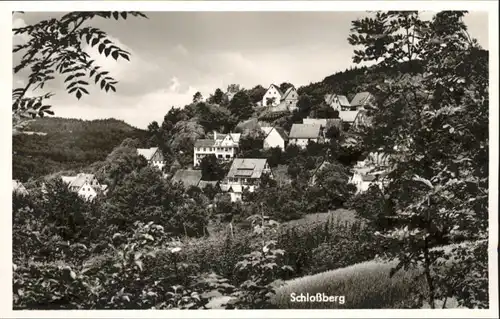 Schlossberg Schnaittach Osternohe Lauf Pegnitz *