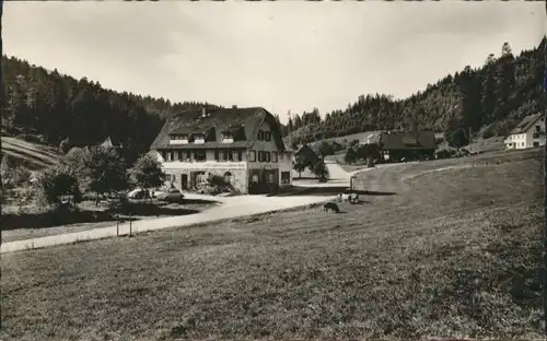 Erbersbronn Gasthaus zum gruenen Wald *