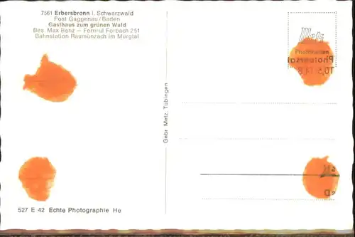 Erbersbronn Gasthaus zum gruenen Wald *