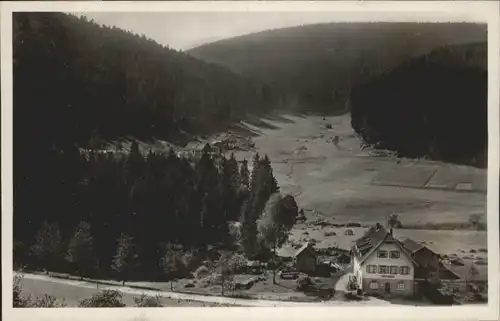 Erbersbronn Pension zum gruenen Wald *