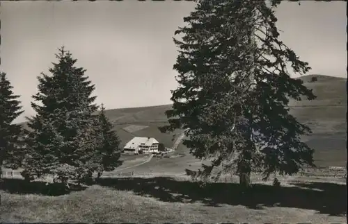 Obermuenstertal Karl Gutmann Mittel-Itzenwald *