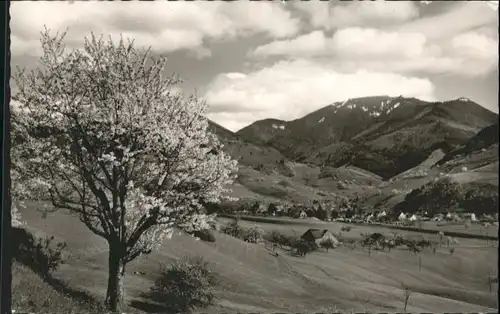 Untermuenstertal Belchen *