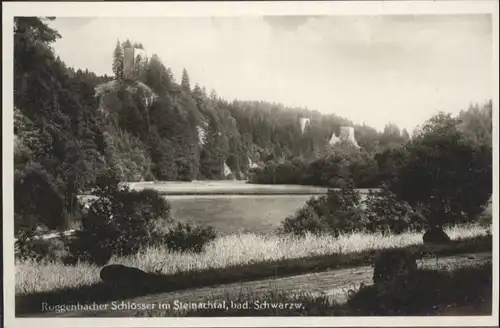 Bonndorf Schwarzwald Roggenbacher Schloesser *