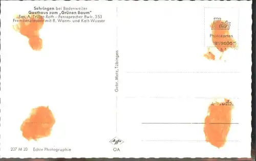 Sehringen Gasthaus zum gruenen Baum *