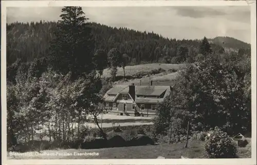 Blasiwald Gasthaus Pension Eisenbreche *