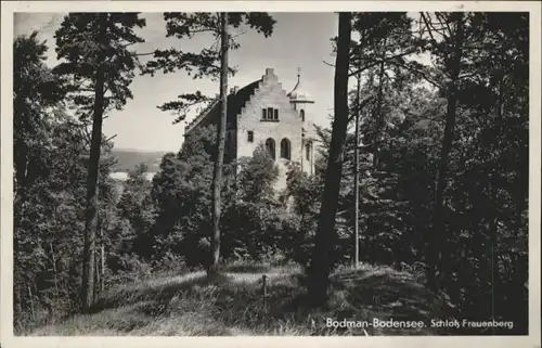 Bodman-Ludwigshafen Schloss Frauenberg *