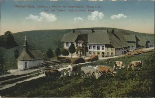 Giesshuebel Muenstertal Gasthaus Pension Schauinsland *