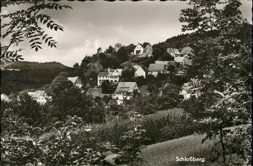 Schlossberg Schnaittach  *