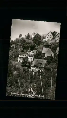 Schlossberg Schnaittach Gasthaus Igel Schlossruine *