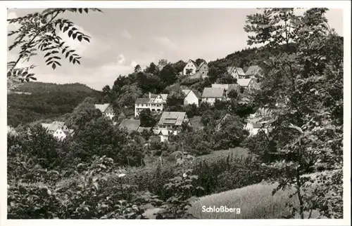 Schlossberg Schnaittach  *