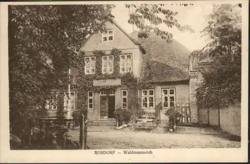 Rosdorf Holstein Waidmannsruh x