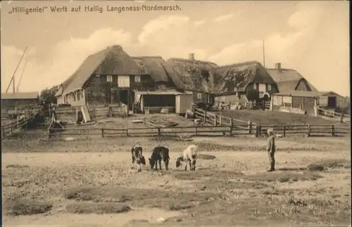 Hallig Langeness Hilligenlei Werft Nordmarsch *