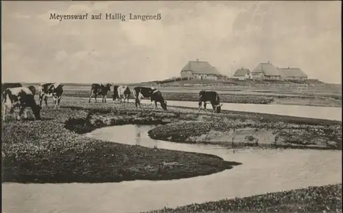 Hallig Langeness Meyenswarf *