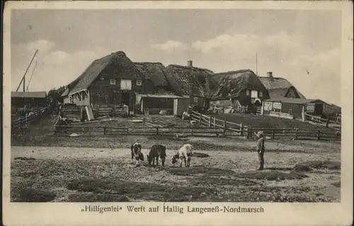 Hallig Langeness Hilligenlei Werft Nordmarsch *