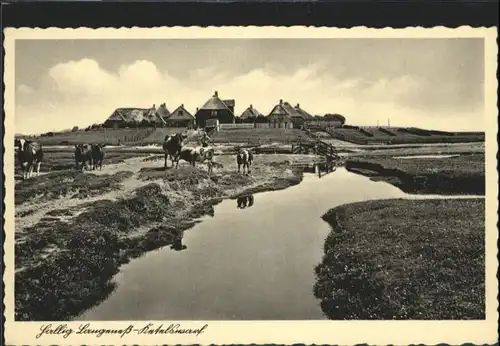 Hallig Langeness Ketelswarf *