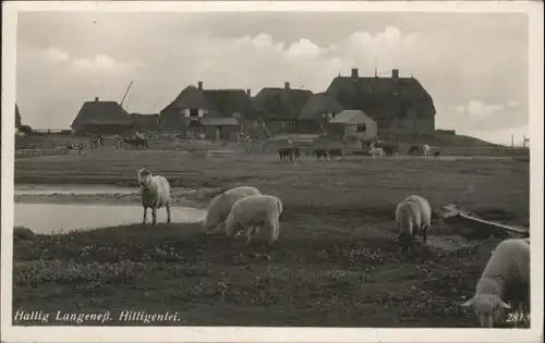 Hallig Langeness Hilligenlei x