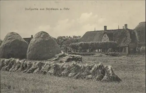 Boldixum Foehr *