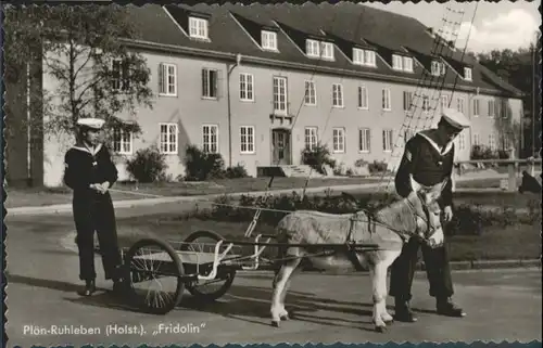 Ruhleben Ploen Holstein Fridolin Esel Matrose *