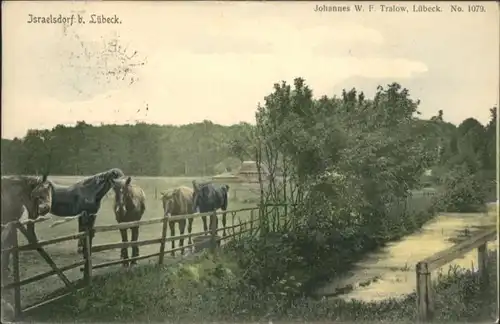 Israelsdorf Luebeck Pferd x