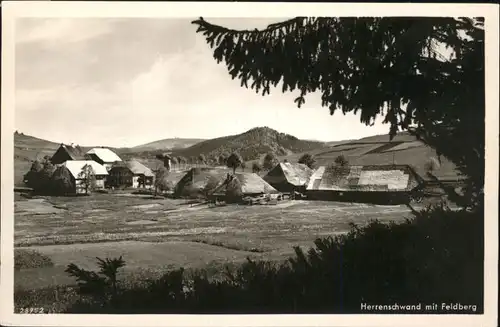 Herrenschwand Feldberg x