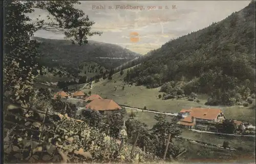 Fahl Feldberg  / Todtnau /