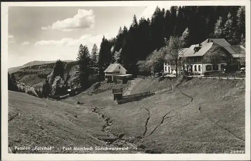 Mambach Pension Forsthof Suedschwarzwald x