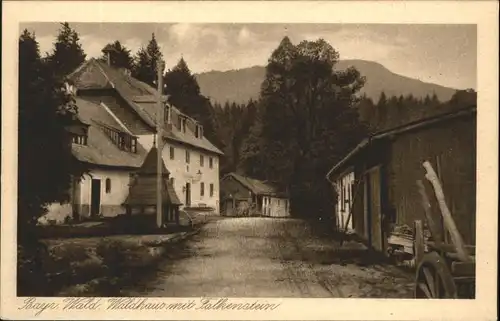 Zwieslerwaldhaus Falkenstein