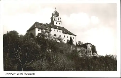 Stuehlingen Stuehlingen Schloss Hohenlupfen * / Stuehlingen /Waldshut LKR