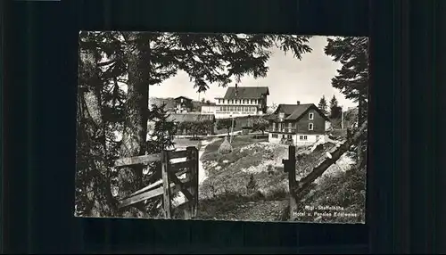 Rigi-Staffel Hotel Pension Edelweiss / Rigi-Staffel /Bz. Schwyz