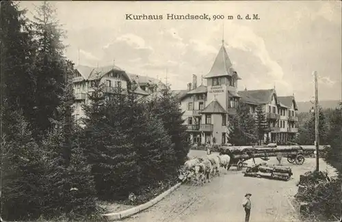 Hundseck Kurhaus  Kuehe / Sasbach /Ortenaukreis LKR