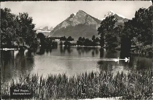 Bad Ragaz Rheinparksee Schwan / Bad Ragaz /Bz. Sarganserland