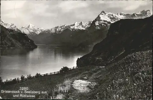 Seelisberg UR Bristenstock Ruetliwiese / Seelisberg /Bz. Uri