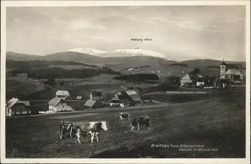 Breitnau Schwarzwald
Hinterzarten / Breitnau /Breisgau-Hochschwarzwald LKR