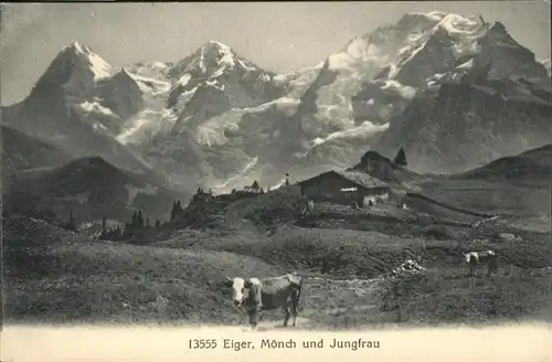 Jungfrau BE Eiger Moench Kuh / Jungfrau /Rg. Finsteraarhorn